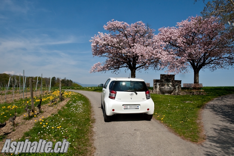 Essai comparatif Toyota iQ Smart ForTwo