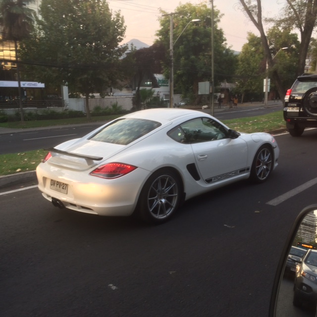 Cayman R Stgo.JPG