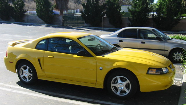 L.A. Mustang Xmas 03.jpg