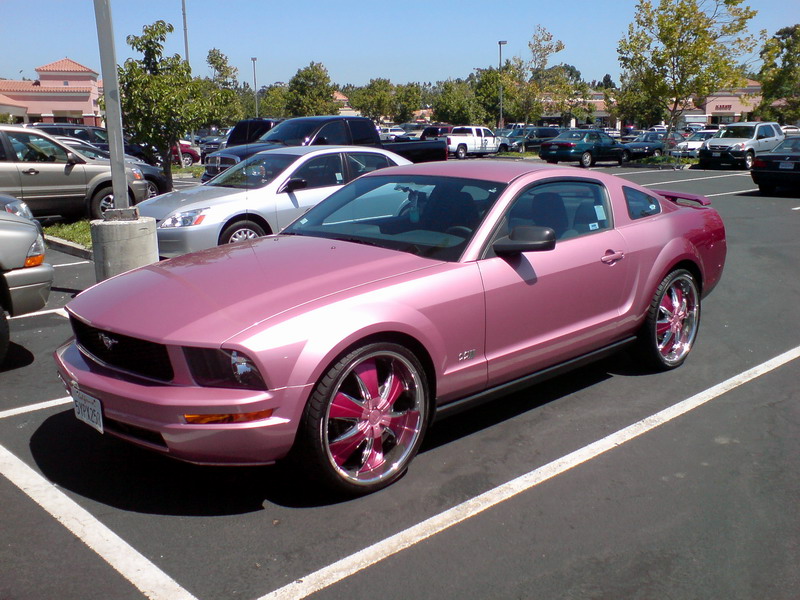 Pink Stang 800.jpg