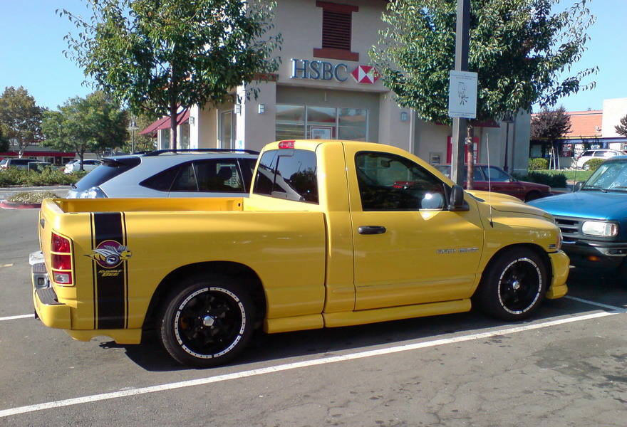 Rumble Bee.jpg