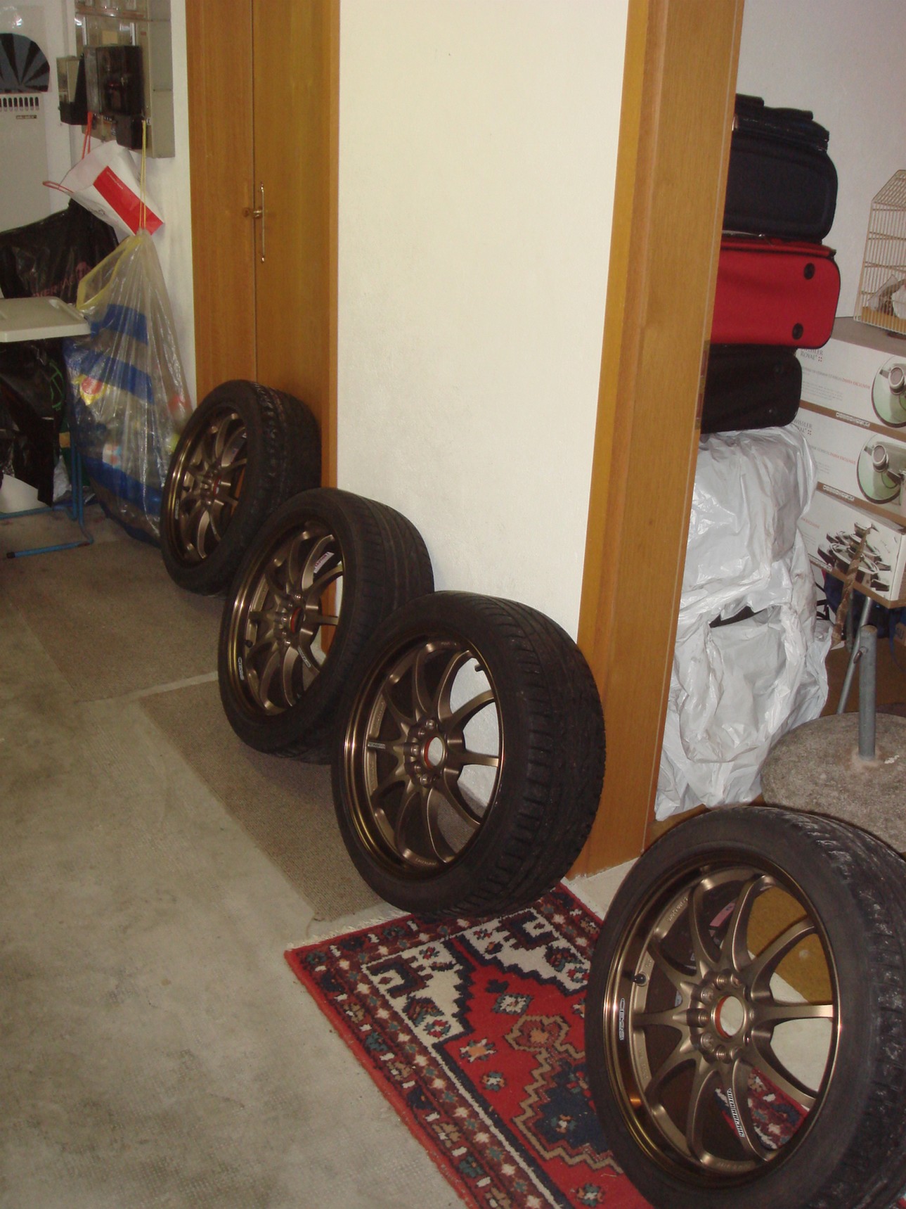 DSC06148.JPG
