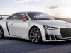 Audi TT clubsport turbo
