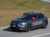 citroen-cactus-21