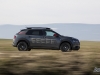 citroen-cactus-29