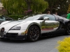 bugatti-veyron-legend-ettore-03