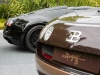 bugatti-veyron-legend-ettore-08