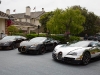 bugatti-veyron-legend-ettore-09