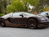 bugatti-veyron-legend-rembrandt-05