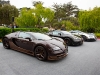 bugatti-veyron-legend-rembrandt-41