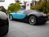 bugatti-veyron-legend-wimille-41