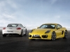porsche-cayman-type-981-03