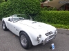 0accobra02