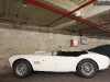 accobra01a