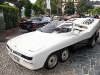 Panther 6