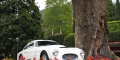 FIAT 8V, 1953 Carrosserie: Berlinetta, Zagato Participant: Jan De Reu (B)