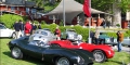 JAGUAR D TYPE, 1955 Carrosserie: open 2-seater, Jaguar Participant: Gary W. Bartlett (USA)