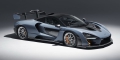 McLaren Senna Victory Grey