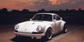 Singer DLS