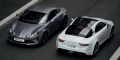 Alpine A110S